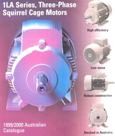 Squirrel Cage Motors